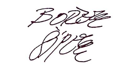Borek_Sipek_signature